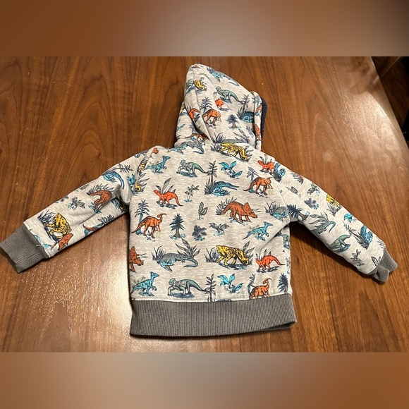 The Children’s Place Fleece Hoodie Size 2T Boy - Picture 3 of 3